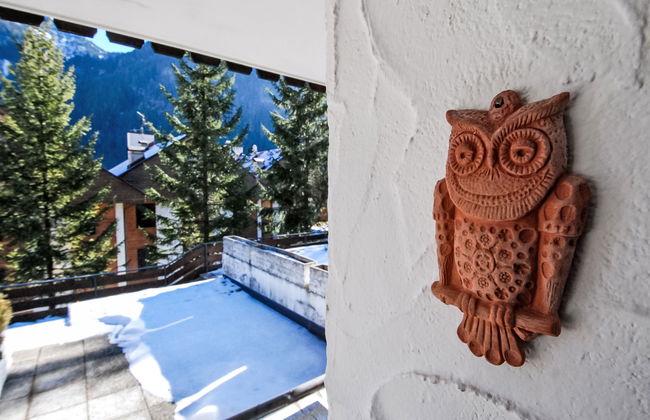 Monti Pallidi - Foto 22