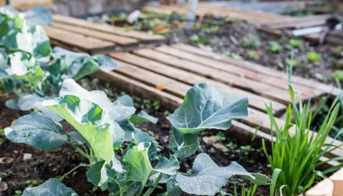 Casa espaciosa cerca de Monachil - Foto 3, Garden