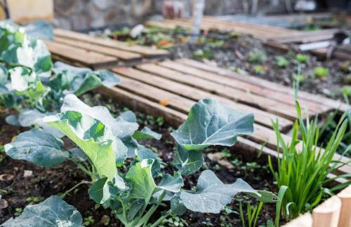 Casa espaciosa cerca de Monachil - Foto 3