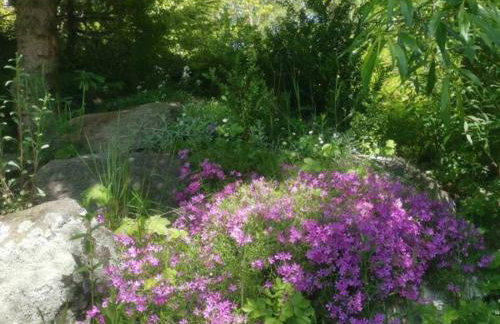 Jaworowy Stok z widokiem na góry i ogrodem - Foto 37