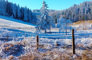 Siódme Niebo domek w górach - Foto 80