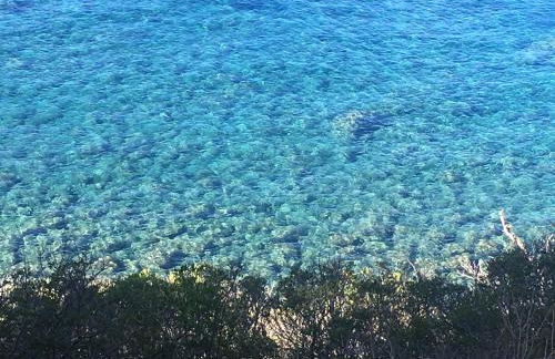 Villa Shanti Yoga & Meditation - Foto 64