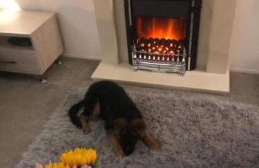 Southsea, Beach and Beauty Lodges - Foto 19