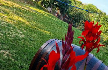 Small Hill Heaven - Foto 21