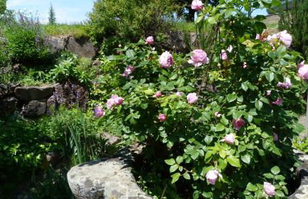 Ferienwohnung Familie Kunz - Foto 7