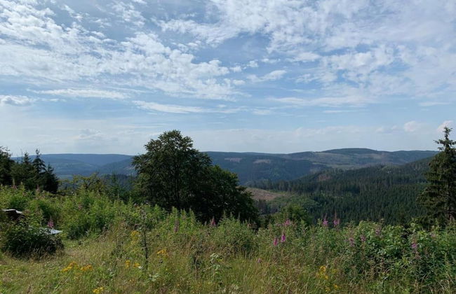 Ferienhaus in Blankenburg - Foto 32