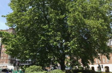 Baker Street Style - Foto 20