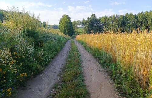 Apartamenty LOS NOBLES w spokojnej okolicy w pobliżu jeziora - Foto 8