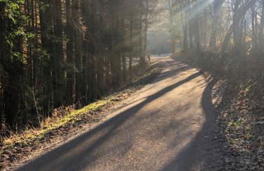 Ferienhaus Waldbaden im Nationalpark Eifel- am Bach - Foto 69
