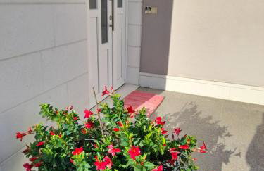 Apartmani Seka 1 - Foto 12