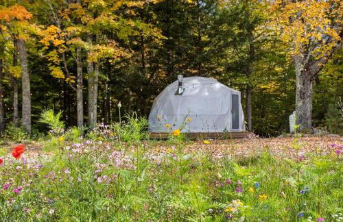 Geodome 1min to Smuggler's Notch with hot tub & River - Foto 20