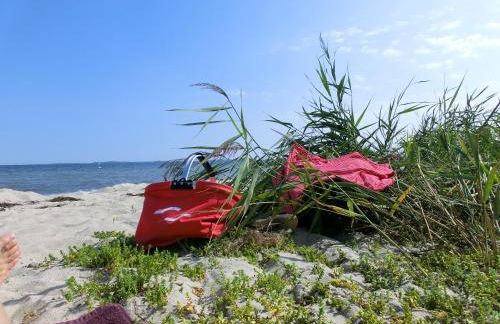 Kastanienhof - Foto 61