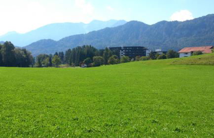 Ferienwohnung Seefelder - Foto 17