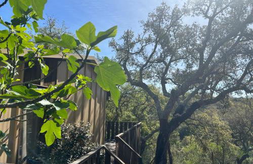 Cabanas de Melides - Foto 25