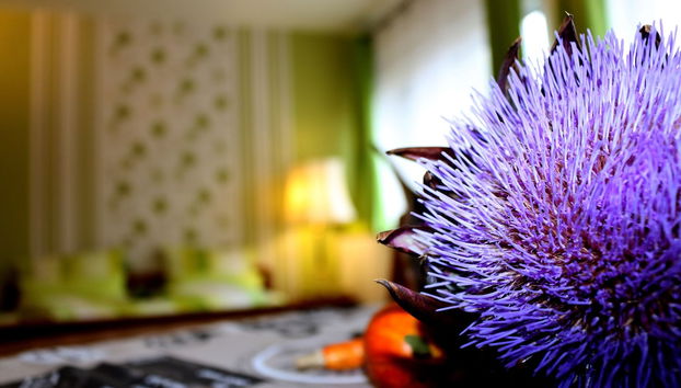 Gästewohnung Mönchengladbach - Foto 2, Imagem principal