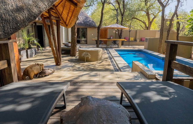 African Sky Villas - Photo 46