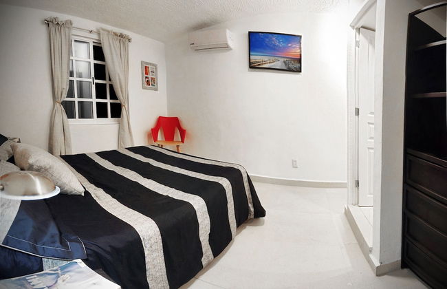 HominngBird - Foto 15