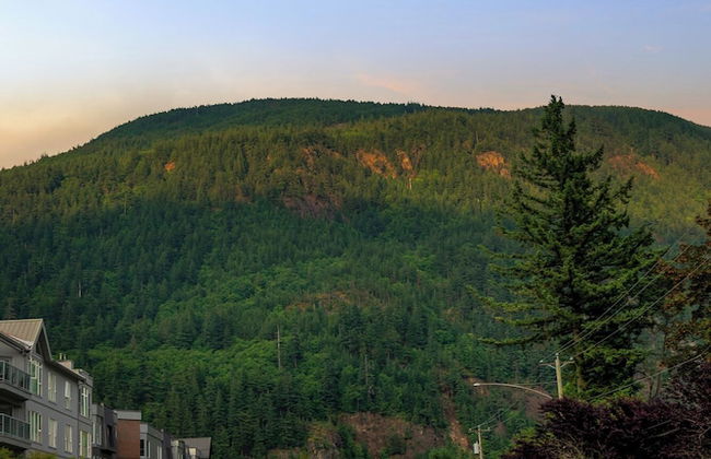 Chic Haven Stylish 3 Bedroom - Photo 70