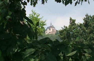 Traumblick Rebenmeer - Foto 32