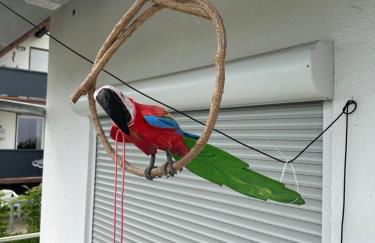 Kevins Ferienwohnungen Uhldingen-Mühlhofen - Foto 77