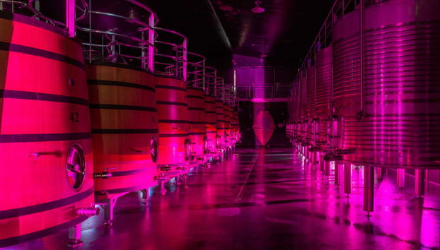 Découvrez le domaine viticole