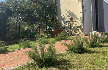 Angolo,di Chianti - Foto 21