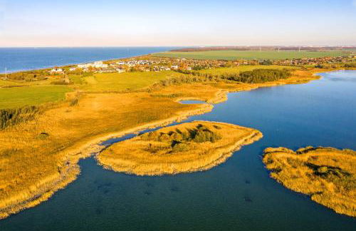 Dünenrose 4 Wolkenlos - Foto 64