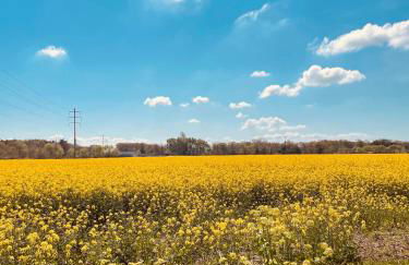 la P’tite Grange - Foto 64