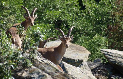 Ramajal Rural - Foto 56