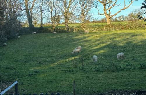 Wood Brook Cottage - Foto 46