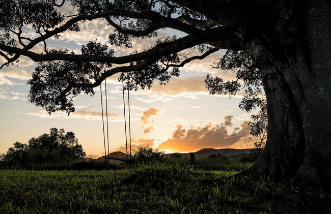 Wander in the Scenic Rim - Foto 76