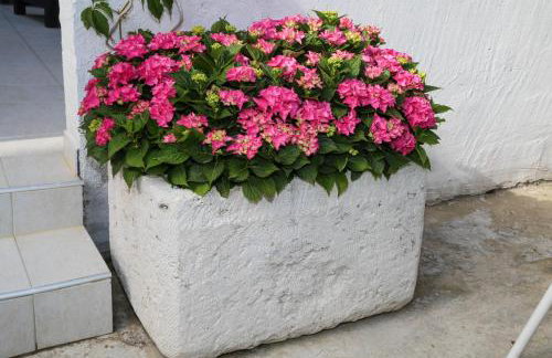 Apartments Seka - Foto 3