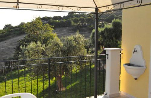 Agriturismo MonteMaggio - Foto 42