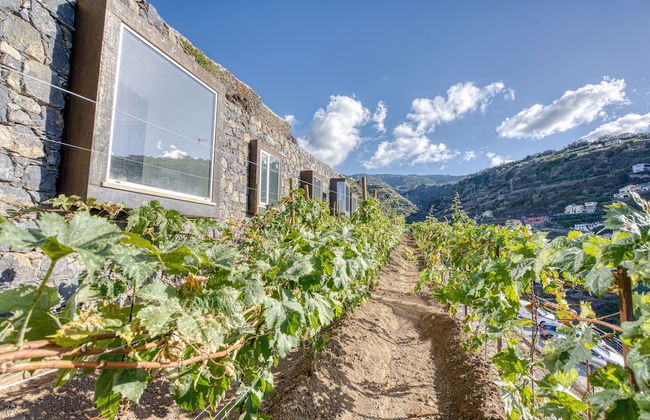 Socalco Nature Calheta - Photo 35