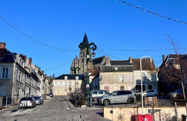 Petit Duplex Cosy centre-ville de Clermont - Foto 15