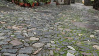 Casa da Porta de Santo António - Foto 5