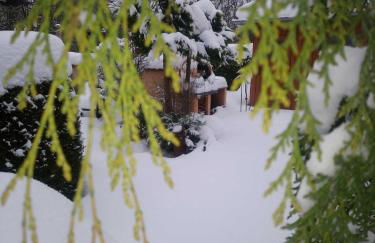 Ferienhaus Nr 2 - Das kleine Haus im Haus - Foto 41