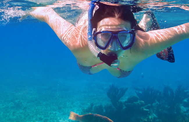 Caiaque e snorkel na baía de Biesanz - Foto 1