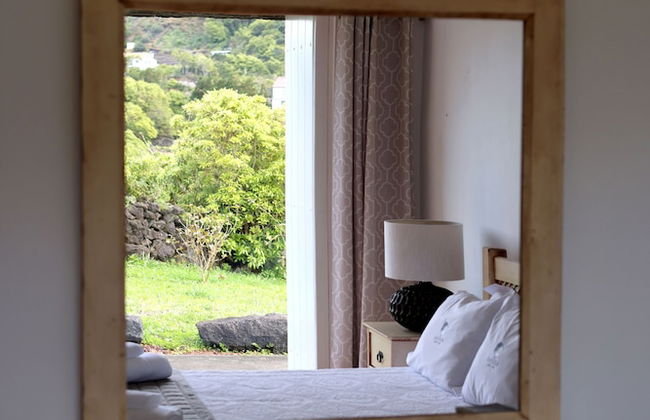 Adegas do Pico - Foto 24