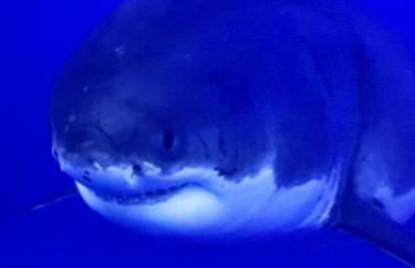 Appartement de 95 m2 bien situé - Foto 35