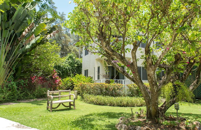 Pipers Cove - Runaway Bay - Photo 27