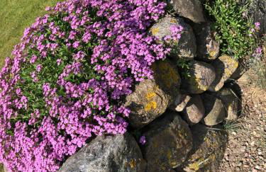 Strandvilla Waldhaus - Foto 72