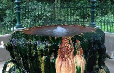 Maison indépendante, domaine VICHY LA TOUR - Foto 20