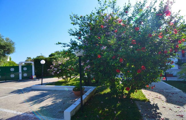 Villa Casa Kasijan Zadarvillas - Foto 31