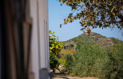 Dammuso Villa Rosa - Foto 40