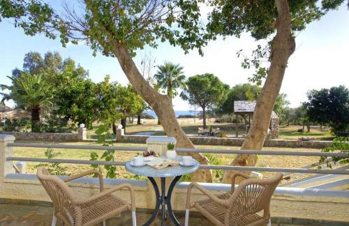 Electra Studios - Foto 4