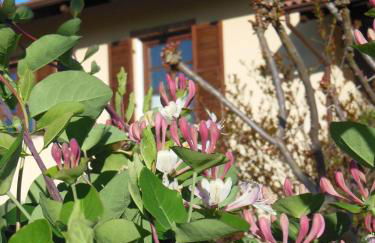 Agriturismo Affittacamere Barbarossa - Foto 41