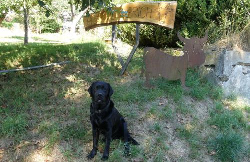 Ferienwohnungen Hof Heiderich - Foto 8