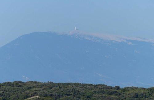 Studio Tudo Bem - Photo 13