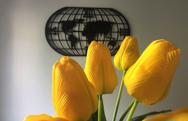 Sunflower-beautiful Modern Apt. w. Terrace&garden - Foto 13